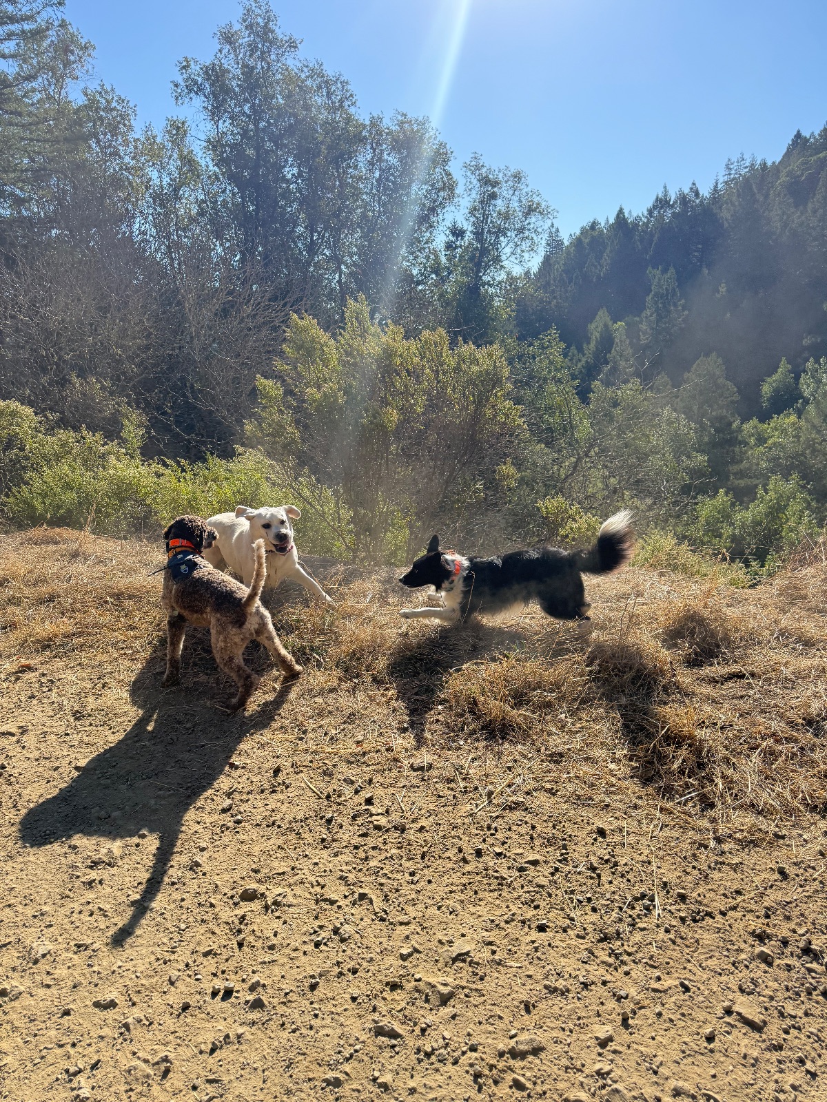 Hike report, Tue, Oct 6 · Baltimore Canyon Preserve · 4 mi · with Andy