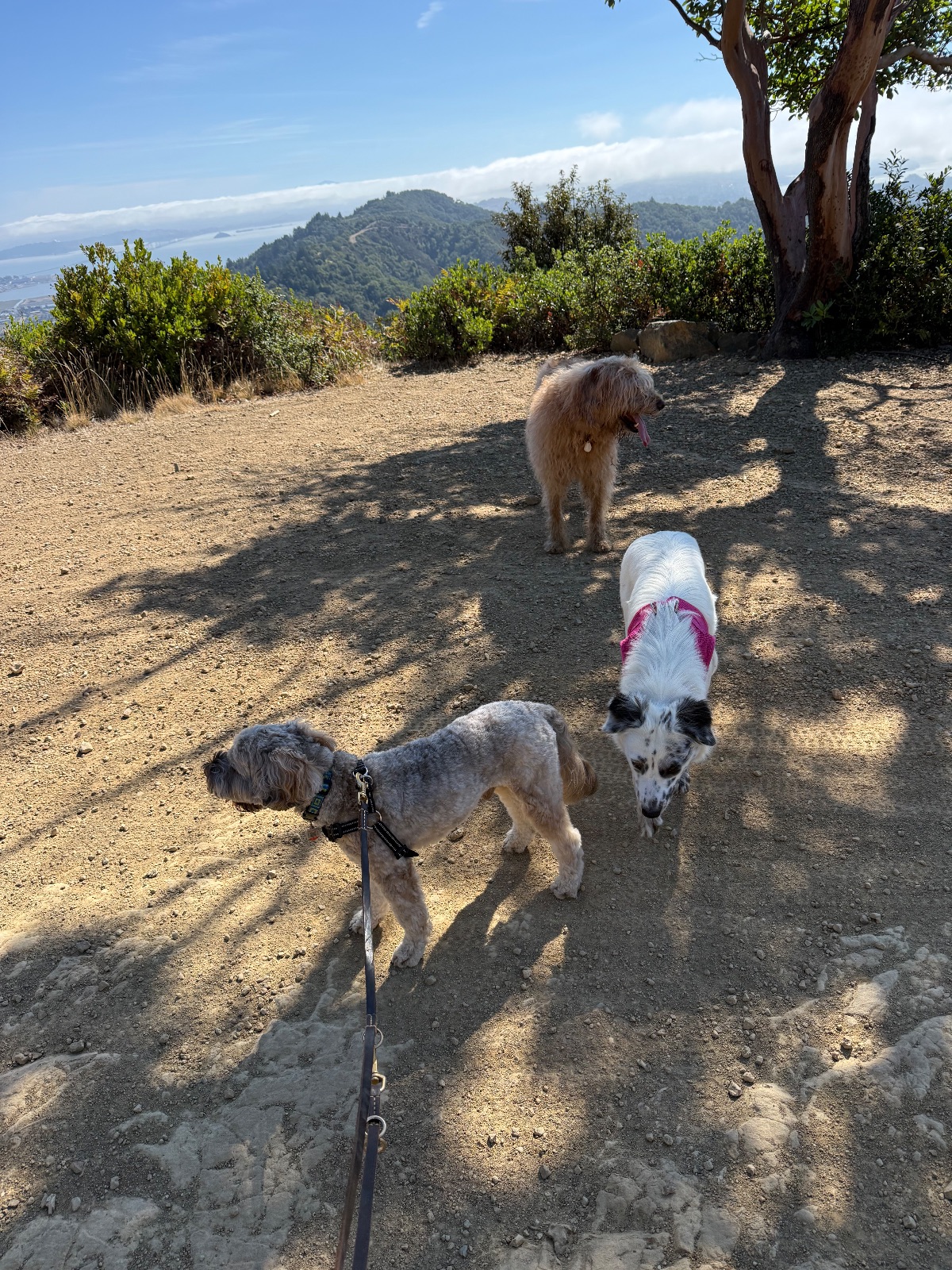 Hike report, Fri, Sep 11 · Baltimore Canyon Preserve · 4 mi · with Andy