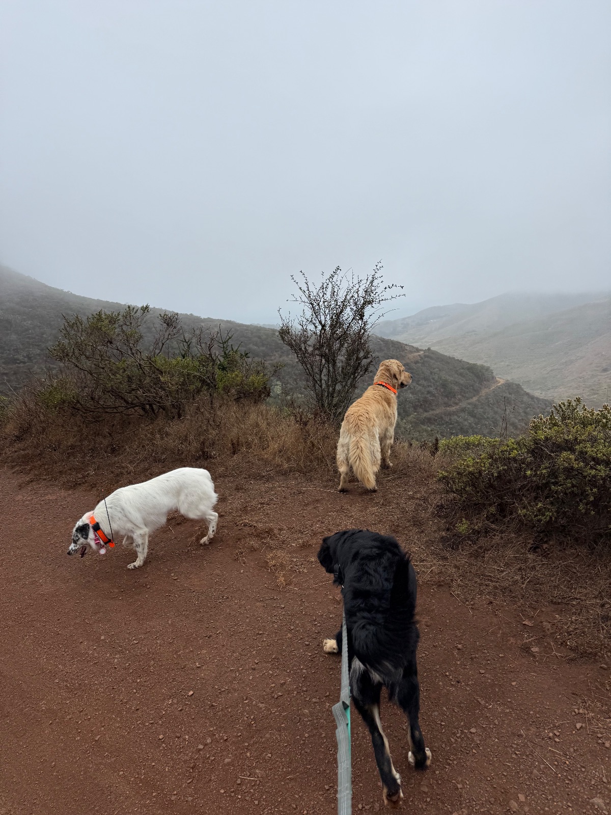 Hike report, Mon, Sep 21 · Coastal Trail · 5 mi · with Andy