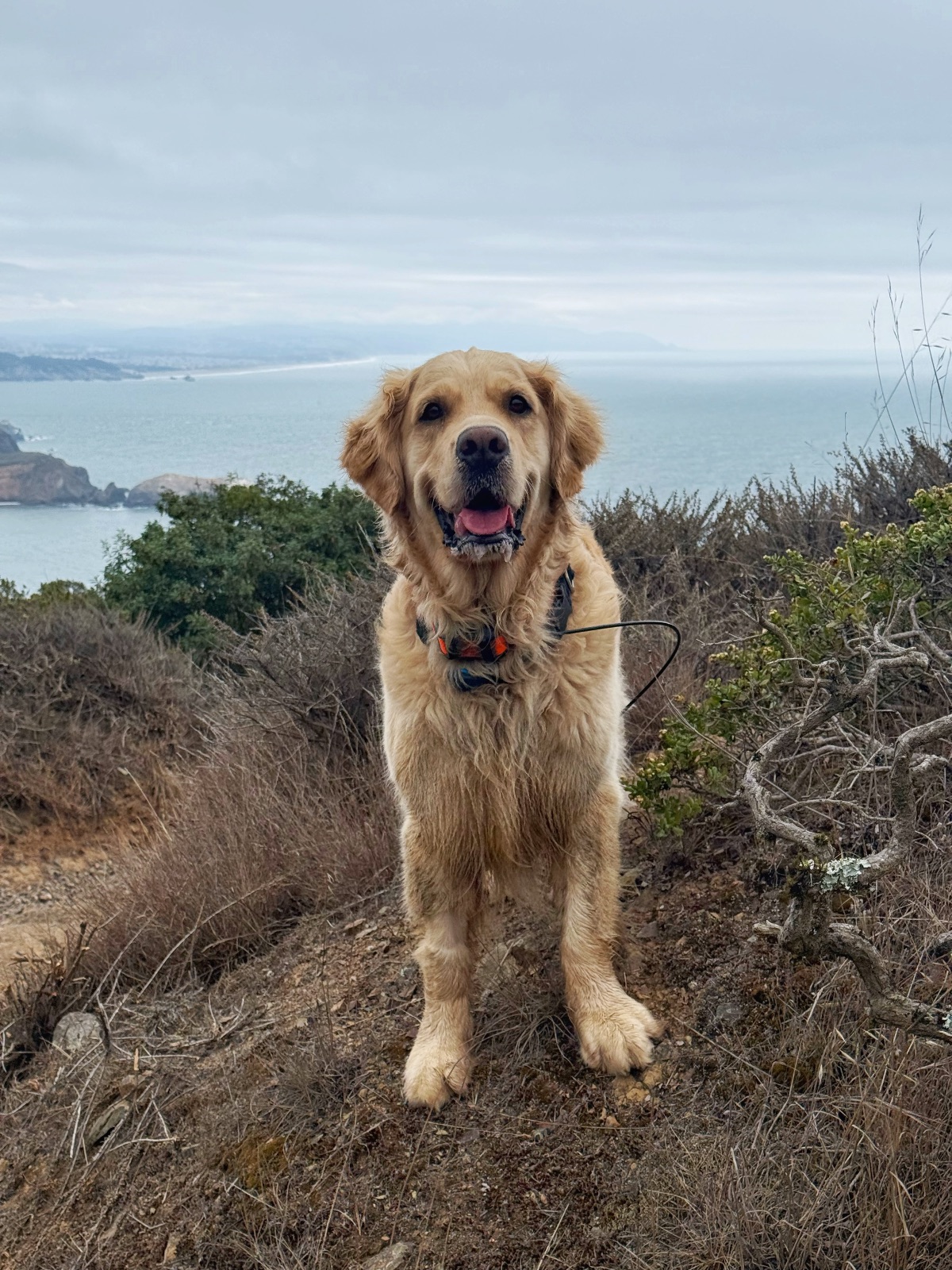 Hike report, Thu, Sep 3 · Costal trail · 4.5 mi · with Andy