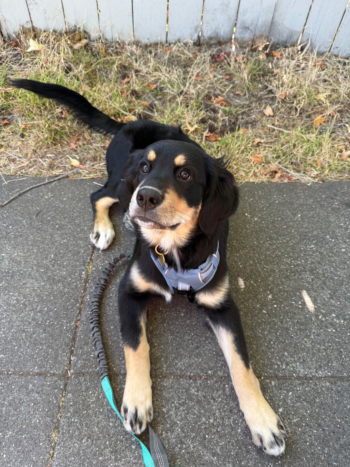 Hike report, Fri, Jul 31 · Fairfax city walk · 4 mi · with Andy