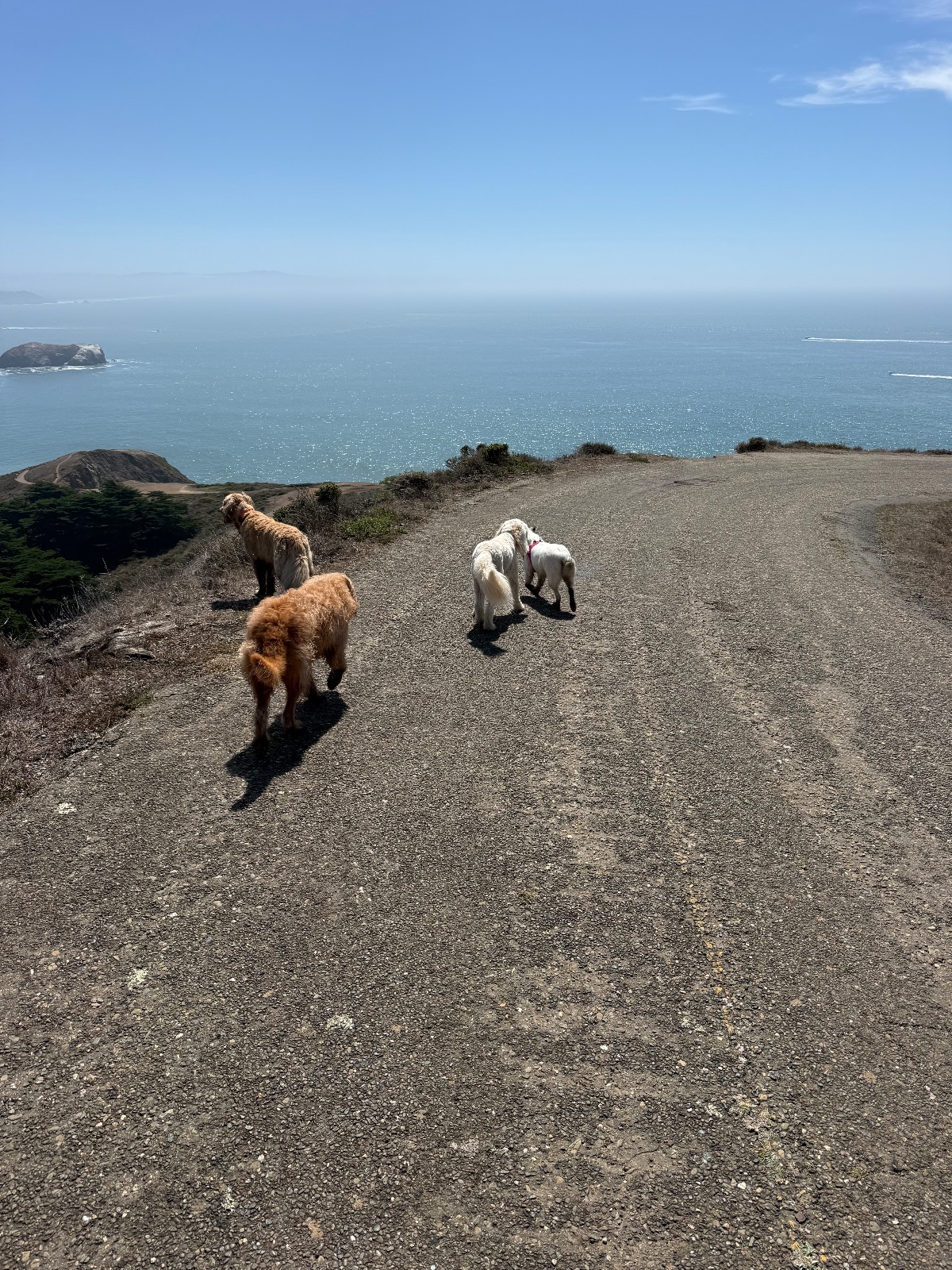 Hike report, Thu, Sep 10 · Rodeo Beach · 3.5 mi · with Andy