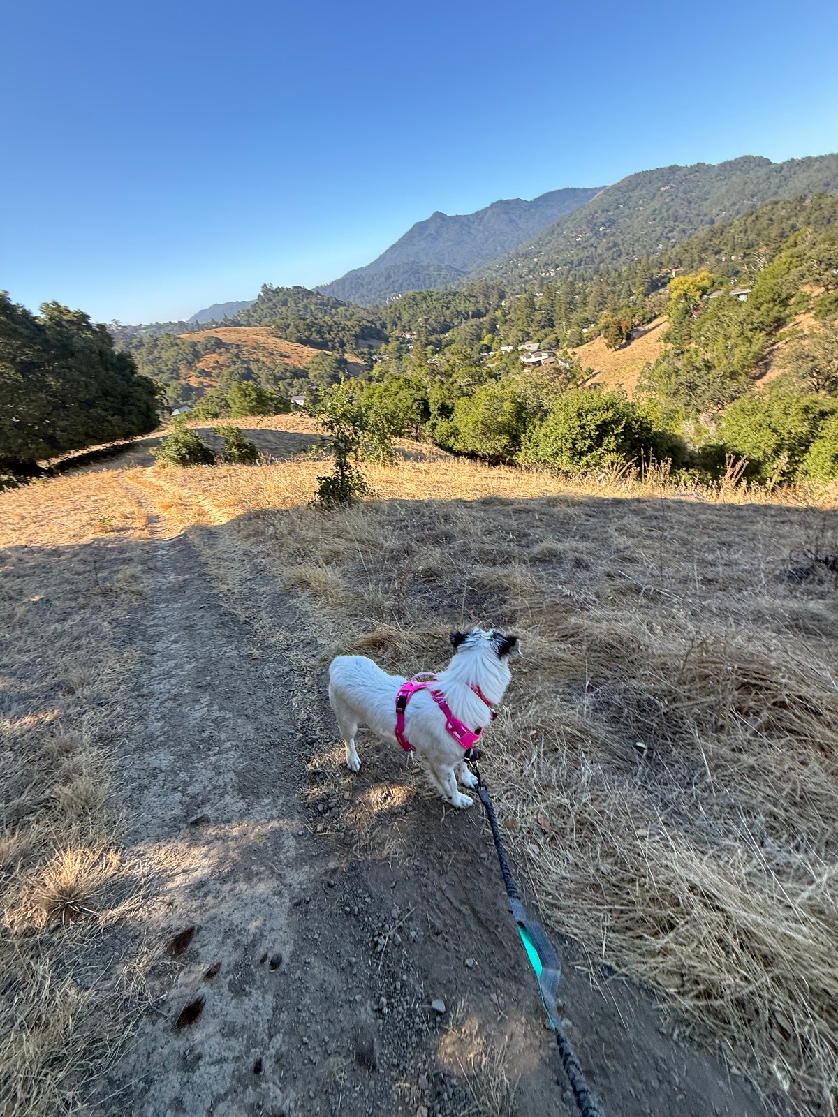 Hike report, Thu, Jul 30 · Sorich Tomahawwk Trail · 3 mi · with Andy