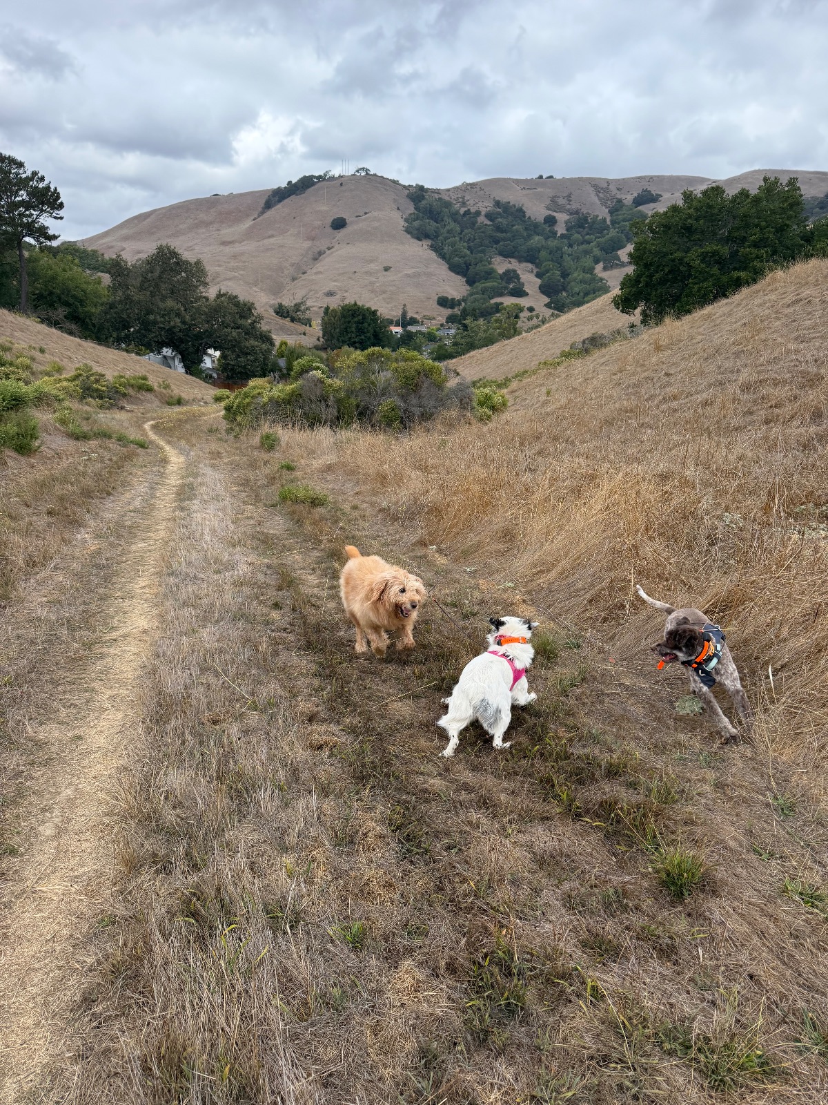 Hike report, Thu, Sep 17 · Stafford Lake Park · 4 mi · with Andy